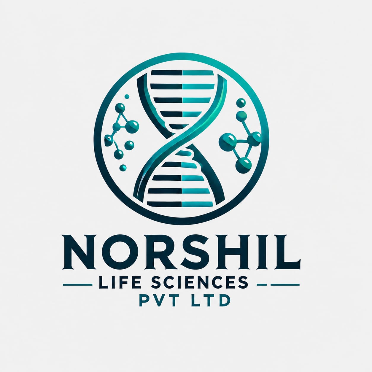Norshil Life Sciences Pvt Ltd logo